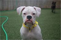 daycare pic 89 -Bella scholz